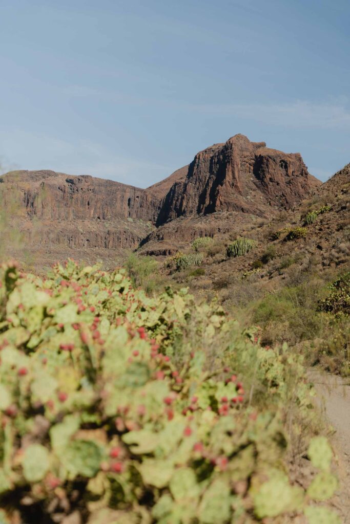 San Bartolome de Tirajana in Gran Canaria