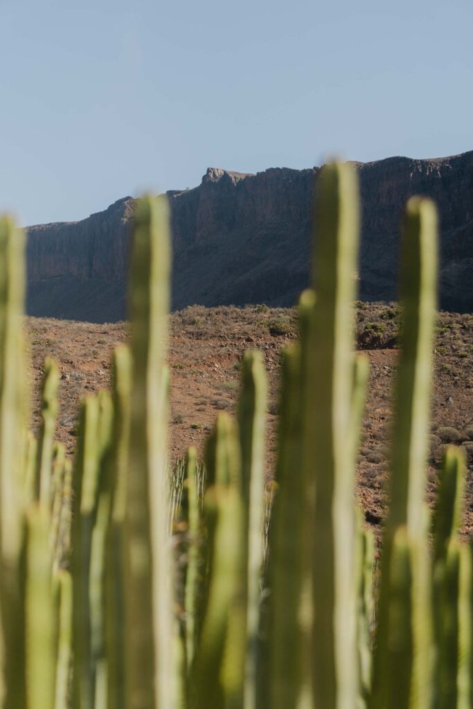 Natuur in Gran Canaria