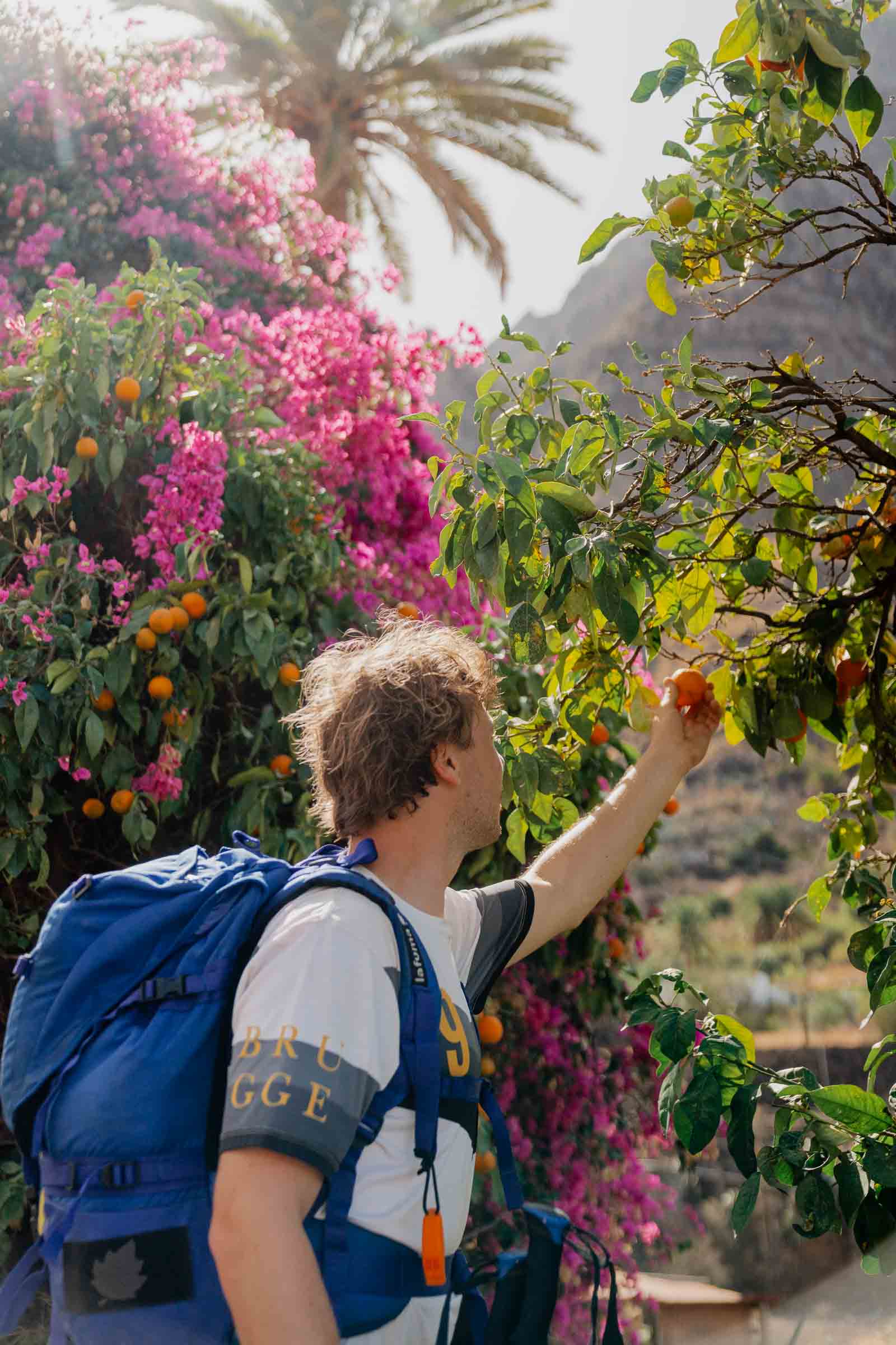 Weer op Gran Canaria in november
